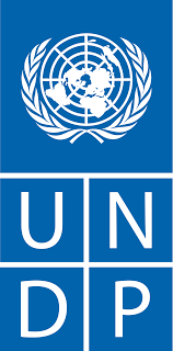 logo PNUD